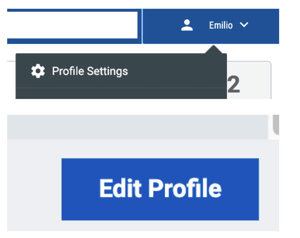 Screenshot showing the Profile Settings option in the user menu and the Edit Profile button