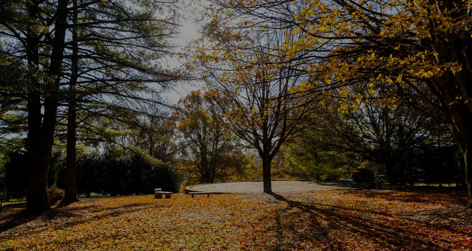 A sunlit park in autumn with golden and orange leaves covering the ground, featuring a circular stone patio and benches under a canopy of mature trees.