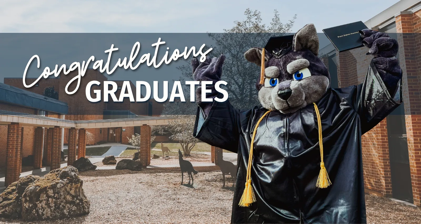 A university mascot, a gray wolf in a black graduation gown and cap, holds up a diploma in front of a brick campus building. Decorative white text overlays the left side reading, "Congratulations GRADUATES.