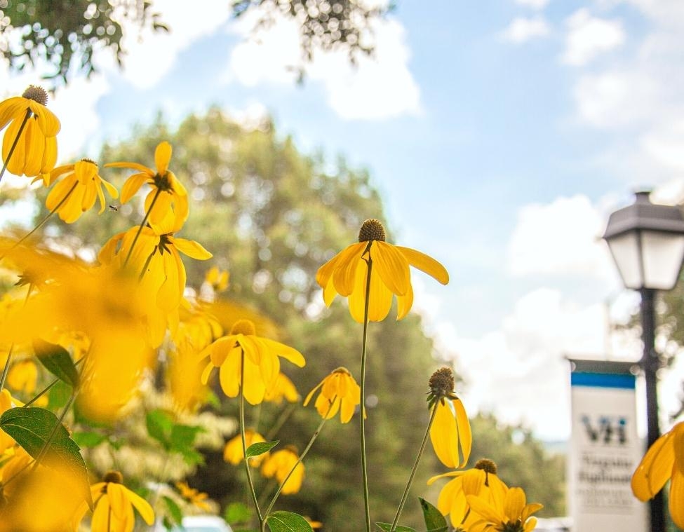 Campus Flowers with Flag