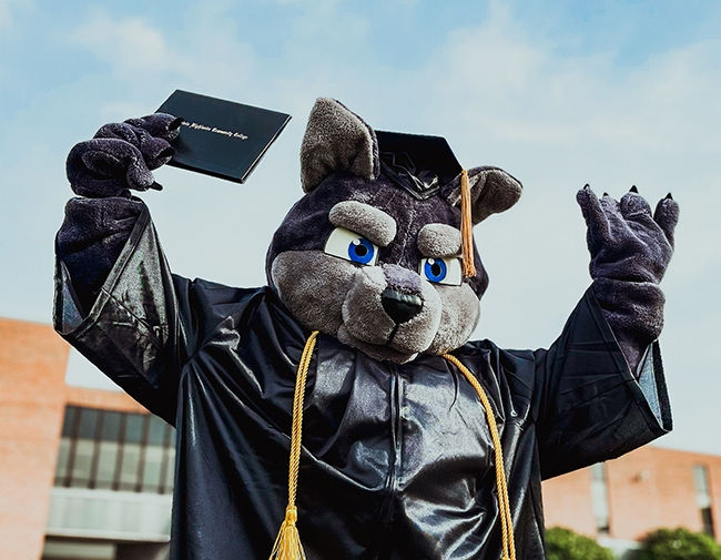 Wolf Mascot with Cap and Gown and Diploma