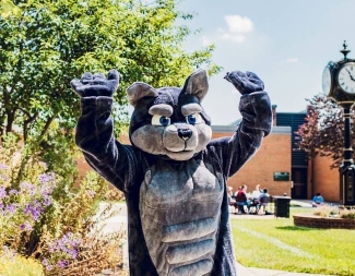 wolf on campus with clock tower outside