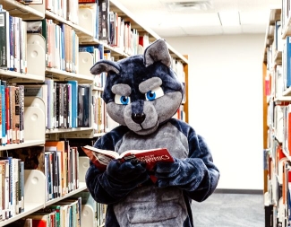 Wolf Mascot in Library Isle Reading