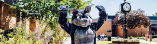 Wolf Mascot at Clock Tower