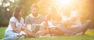 Students sitting in the grass