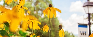 Flowers on campus
