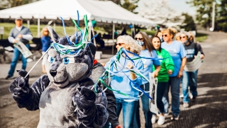 Wolf in Parade with pom poms